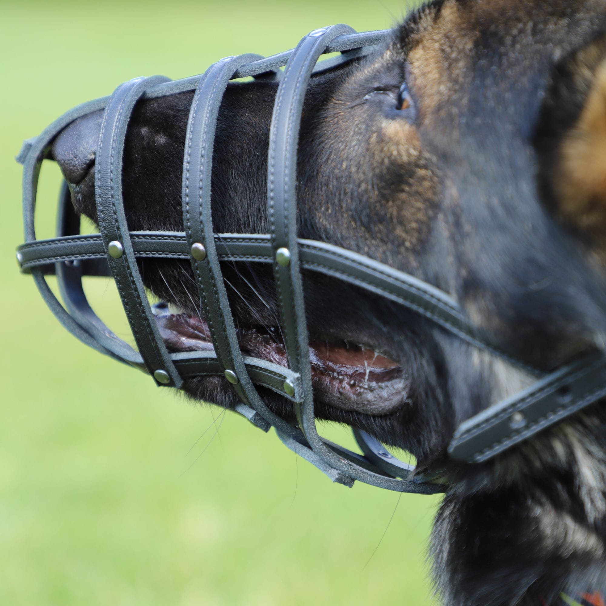 15121-15136-2000X2000-20